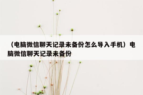 （电脑微信聊天记录未备份怎么导入手机）电脑微信聊天记录未备份