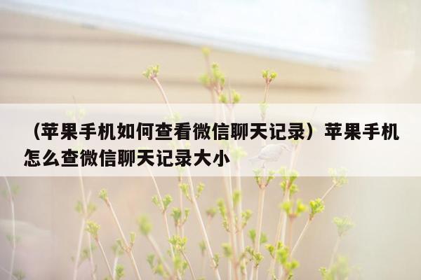 （苹果手机如何查看微信聊天记录）苹果手机怎么查微信聊天记录大小