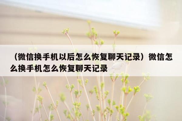 （微信换手机以后怎么恢复聊天记录）微信怎么换手机怎么恢复聊天记录