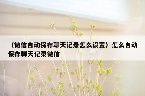 （微信自动保存聊天记录怎么设置）怎么自动保存聊天记录微信