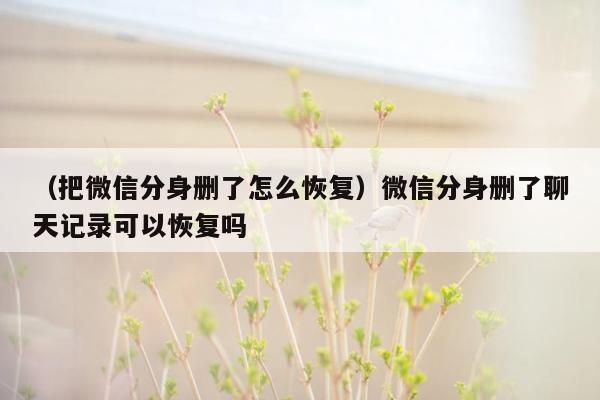 （把微信分身删了怎么恢复）微信分身删了聊天记录可以恢复吗