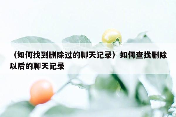 （如何找到删除过的聊天记录）如何查找删除以后的聊天记录