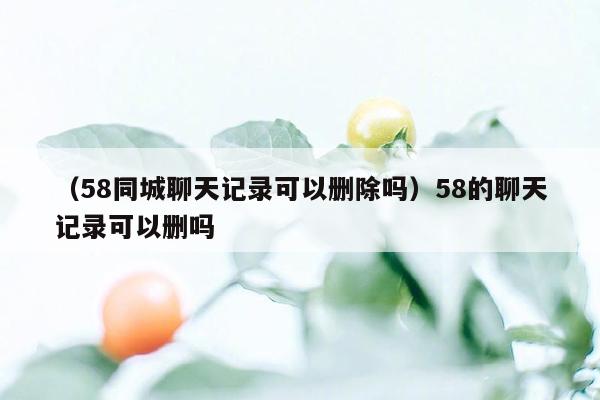 （58同城聊天记录可以删除吗）58的聊天记录可以删吗