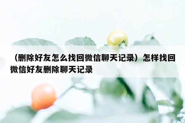 （删除好友怎么找回微信聊天记录）怎样找回微信好友删除聊天记录