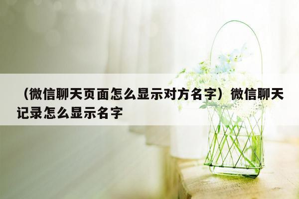 （微信聊天页面怎么显示对方名字）微信聊天记录怎么显示名字