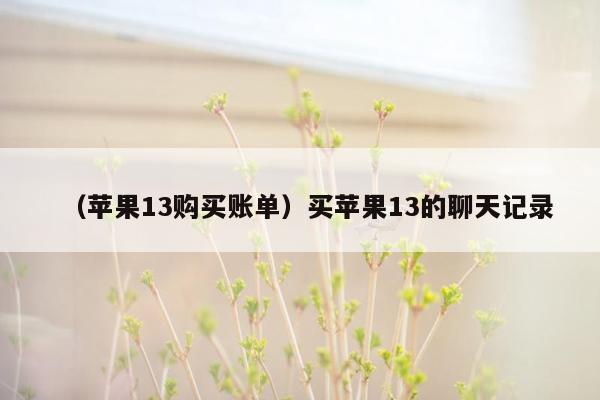 （苹果13购买账单）买苹果13的聊天记录