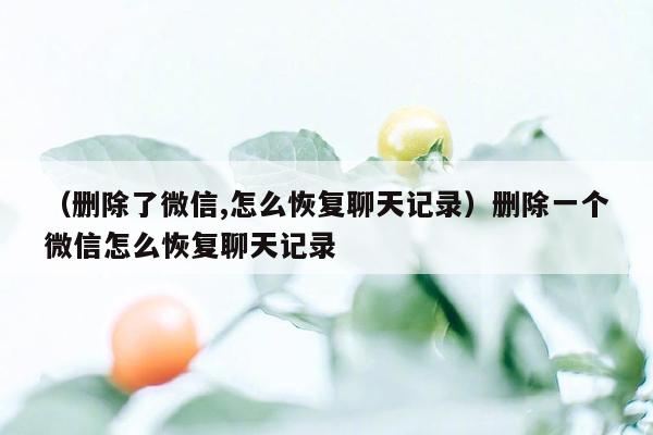 （删除了微信,怎么恢复聊天记录）删除一个微信怎么恢复聊天记录