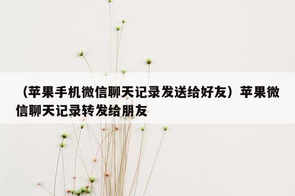 （苹果手机微信聊天记录发送给好友）苹果微信聊天记录转发给朋友