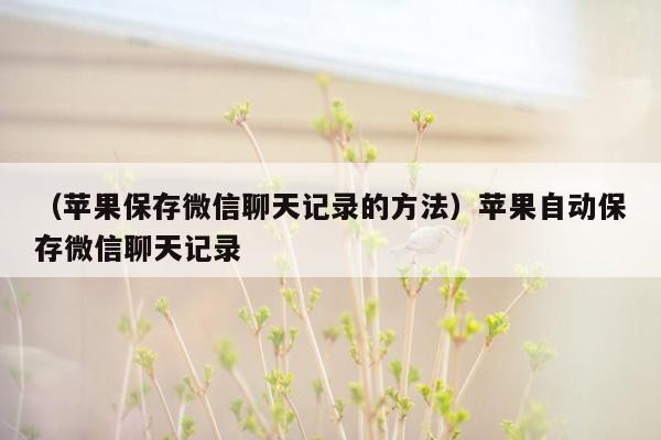 （苹果保存微信聊天记录的方法）苹果自动保存微信聊天记录