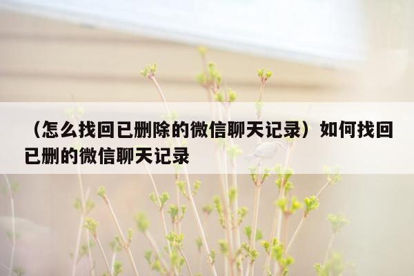 （怎么找回已删除的微信聊天记录）如何找回已删的微信聊天记录