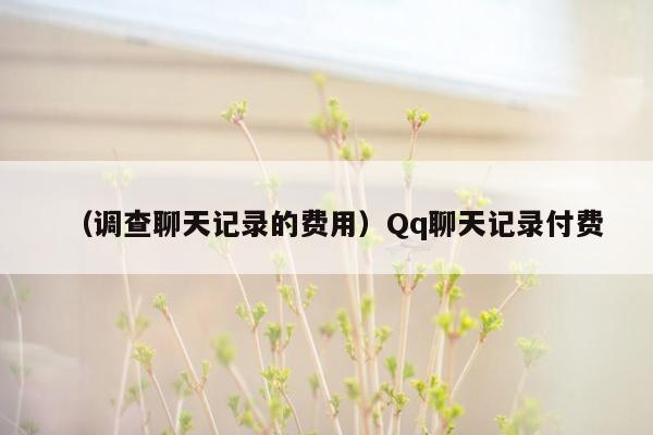 （调查聊天记录的费用）Qq聊天记录付费