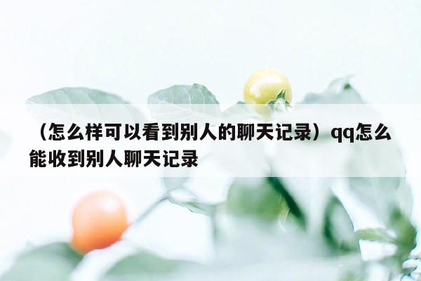 （怎么样可以看到别人的聊天记录）qq怎么能收到别人聊天记录