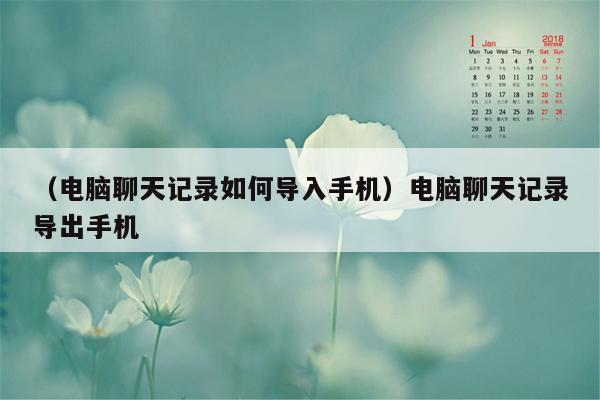 （电脑聊天记录如何导入手机）电脑聊天记录导出手机