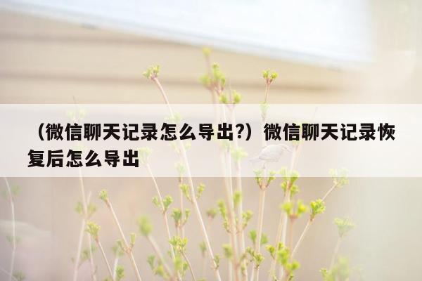 （微信聊天记录怎么导出?）微信聊天记录恢复后怎么导出