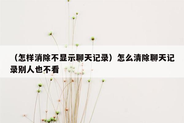 （怎样消除不显示聊天记录）怎么清除聊天记录别人也不看