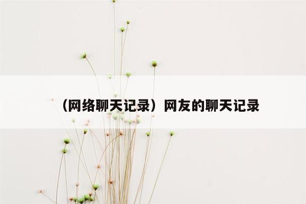 （网络聊天记录）网友的聊天记录