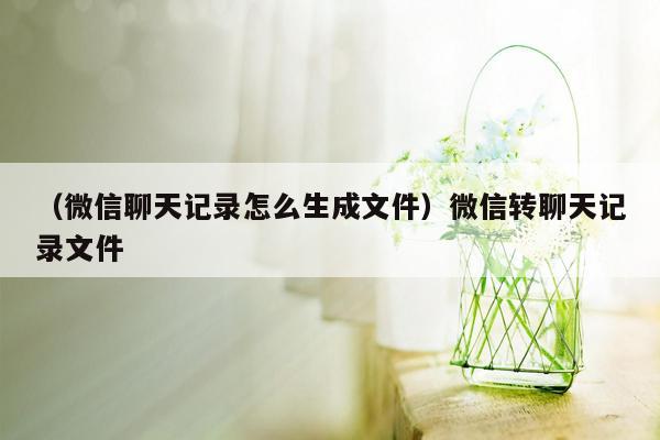 （微信聊天记录怎么生成文件）微信转聊天记录文件