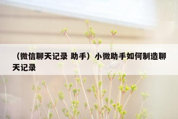 （微信聊天记录 助手）小微助手如何制造聊天记录