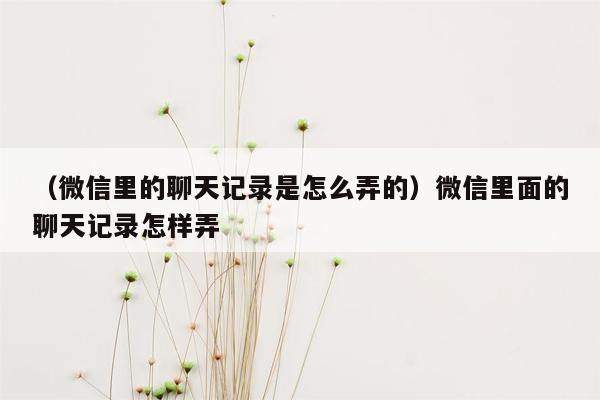 （微信里的聊天记录是怎么弄的）微信里面的聊天记录怎样弄