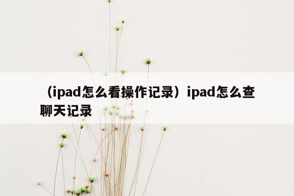 （ipad怎么看操作记录）ipad怎么查聊天记录