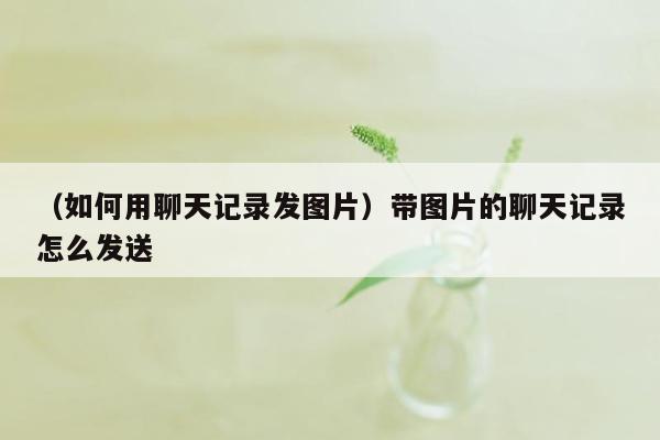 （如何用聊天记录发图片）带图片的聊天记录怎么发送