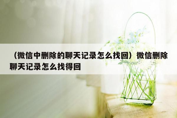 （微信中删除的聊天记录怎么找回）微信删除聊天记录怎么找得回