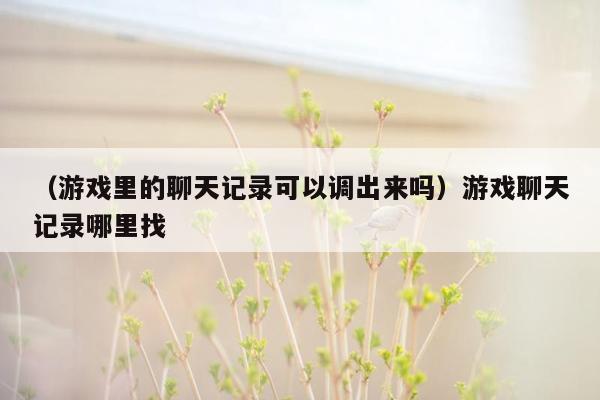 （游戏里的聊天记录可以调出来吗）游戏聊天记录哪里找