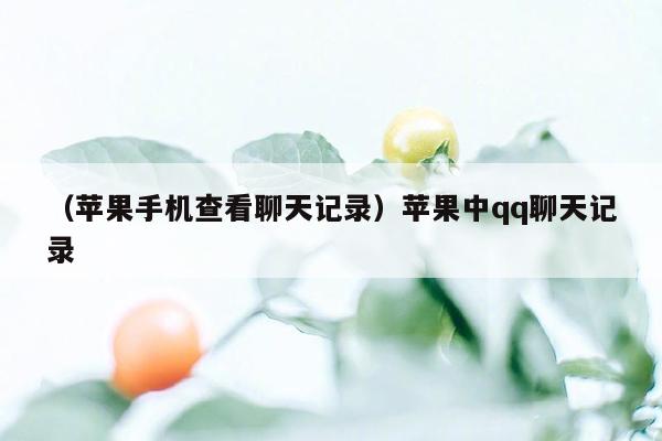 （苹果手机查看聊天记录）苹果中qq聊天记录