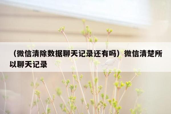 （微信清除数据聊天记录还有吗）微信清楚所以聊天记录