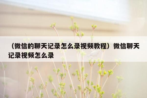 （微信的聊天记录怎么录视频教程）微信聊天记录视频怎么录