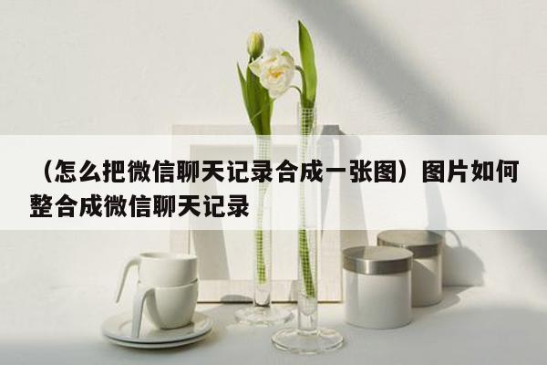 （怎么把微信聊天记录合成一张图）图片如何整合成微信聊天记录