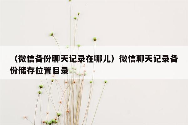 （微信备份聊天记录在哪儿）微信聊天记录备份储存位置目录