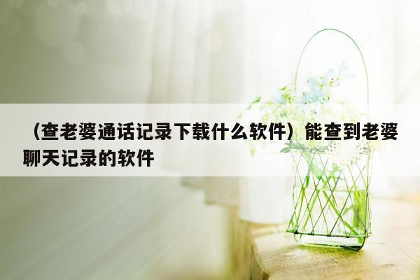 （查老婆通话记录下载什么软件）能查到老婆聊天记录的软件