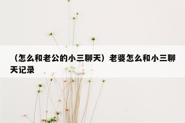 （怎么和老公的小三聊天）老婆怎么和小三聊天记录