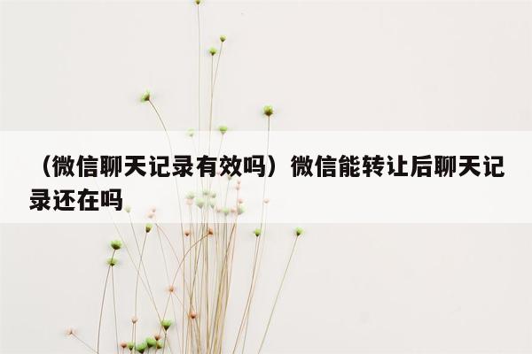 （微信聊天记录有效吗）微信能转让后聊天记录还在吗