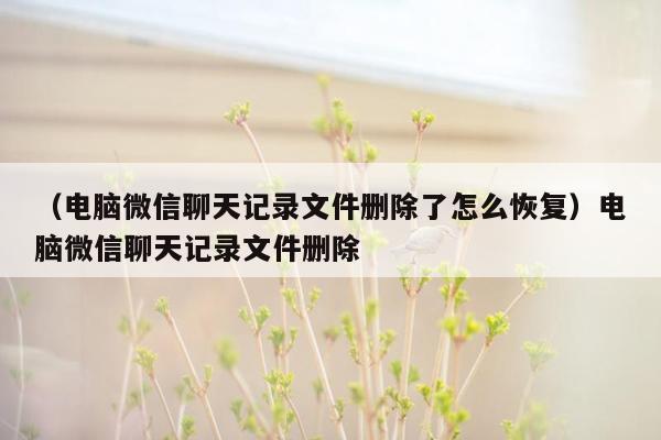 （电脑微信聊天记录文件删除了怎么恢复）电脑微信聊天记录文件删除