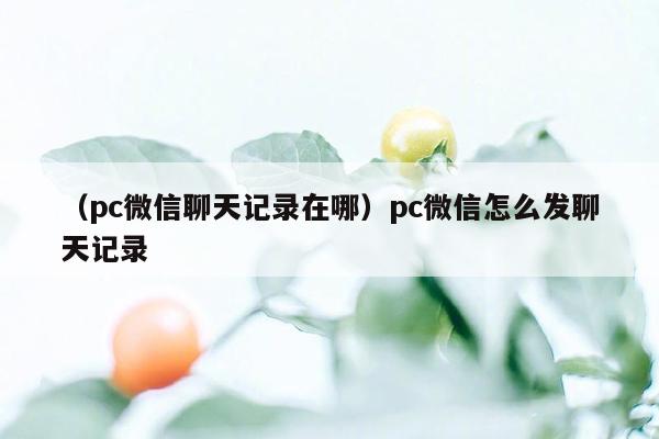 （pc微信聊天记录在哪）pc微信怎么发聊天记录