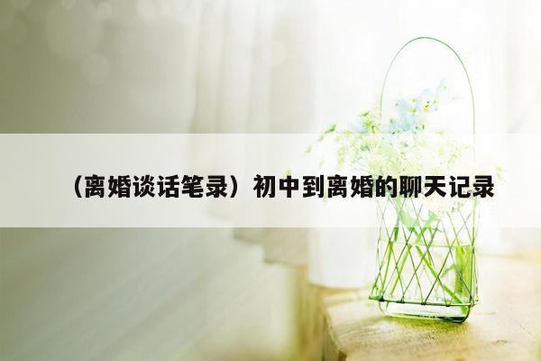 （离婚谈话笔录）初中到离婚的聊天记录