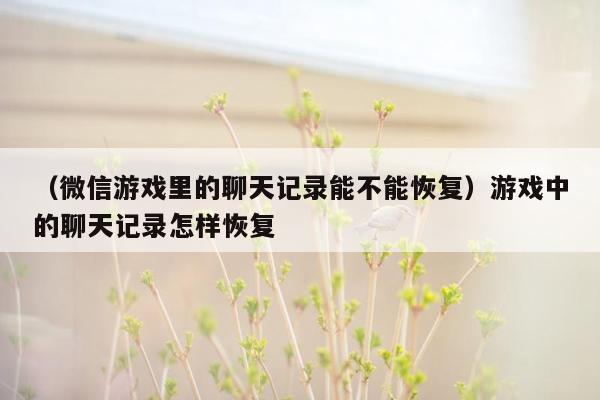 （微信游戏里的聊天记录能不能恢复）游戏中的聊天记录怎样恢复