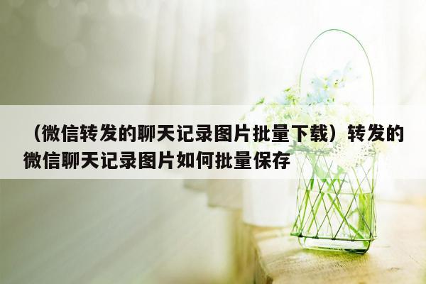 （微信转发的聊天记录图片批量下载）转发的微信聊天记录图片如何批量保存