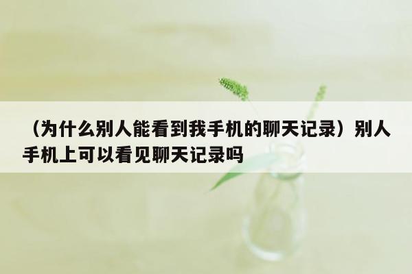 （为什么别人能看到我手机的聊天记录）别人手机上可以看见聊天记录吗