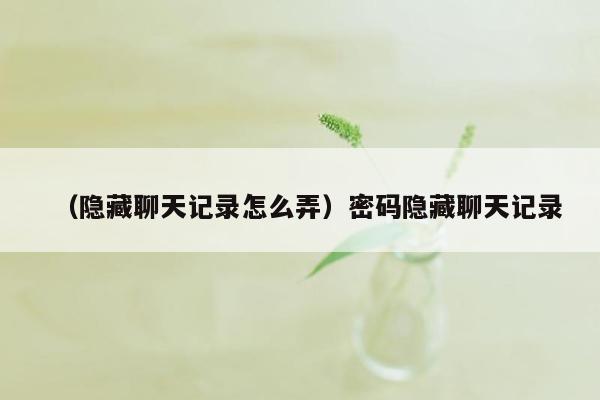 （隐藏聊天记录怎么弄）密码隐藏聊天记录