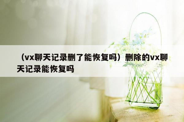 （vx聊天记录删了能恢复吗）删除的vx聊天记录能恢复吗