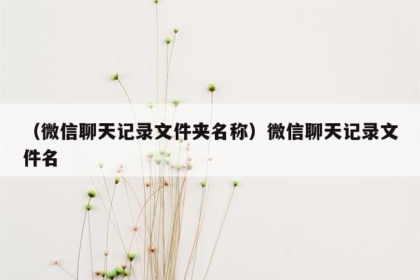 （微信聊天记录文件夹名称）微信聊天记录文件名