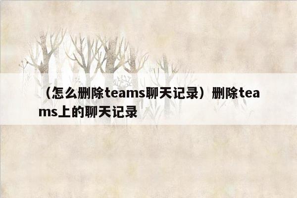 （怎么删除teams聊天记录）删除teams上的聊天记录