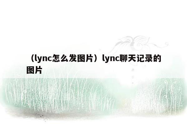 （lync怎么发图片）lync聊天记录的图片