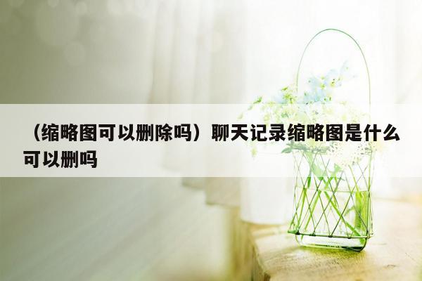 （缩略图可以删除吗）聊天记录缩略图是什么可以删吗