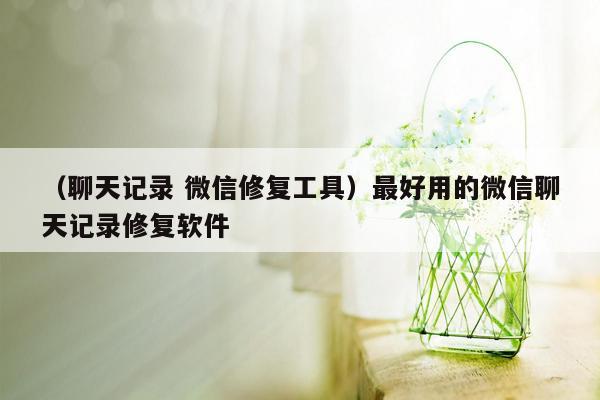 （聊天记录 微信修复工具）最好用的微信聊天记录修复软件