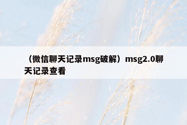 （微信聊天记录msg破解）msg2.0聊天记录查看