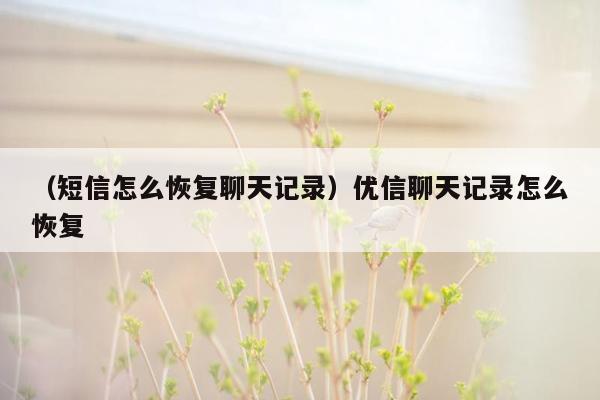 （短信怎么恢复聊天记录）优信聊天记录怎么恢复